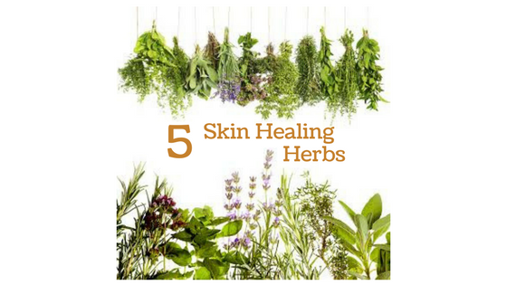 5 Skin Healing Herbs