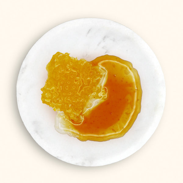 Nourish Your Lips with Honey Bee Lip Balm & Lip Butter