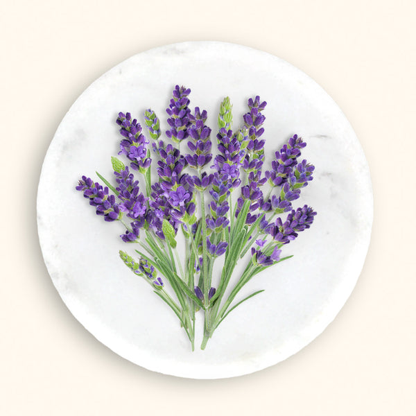 Lavender Essential Oil: Benefits for Soap & Skincare