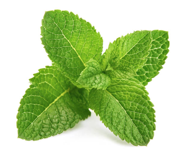 Benefits Of Peppermint For Skin Herb N Eden Benefits of peppermint for skin herb n eden