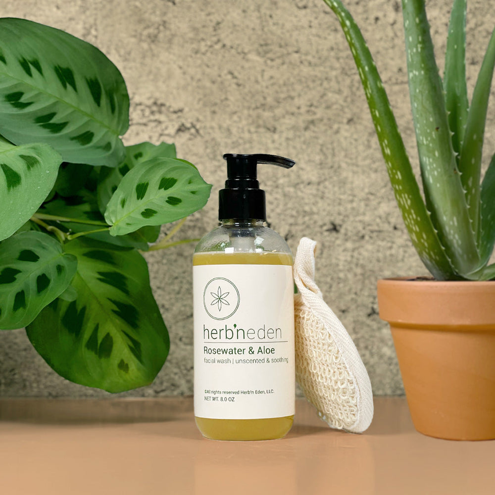 reformhaus aloe vera trinkgel Arya Laya Fett-Feucht Balancer Aloe Vera 50 ml – Reformhaus Steinhart main image 1