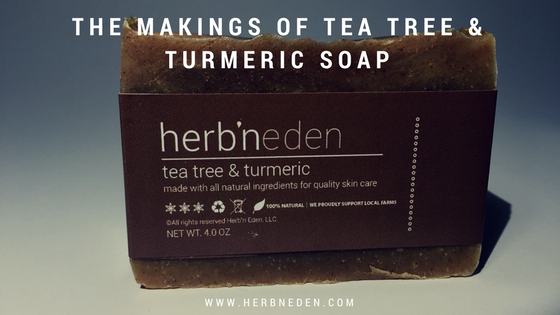 Tea Tree Oil Uses in Natural Soap