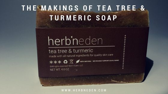 The Makings of Tea Tree & Turmeric soap
