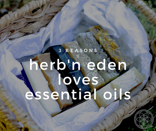 Organic Essential Oils: Top Benefits & Uses