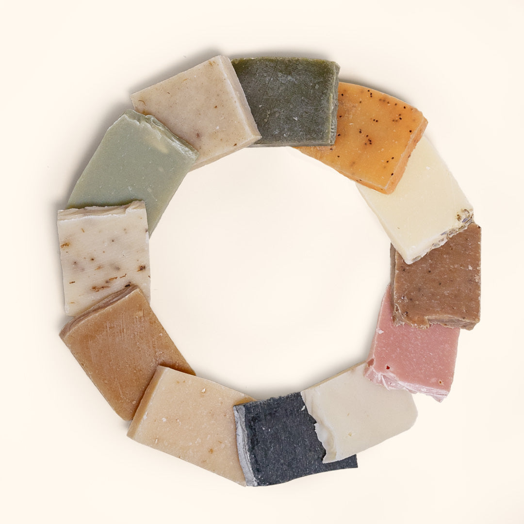 Herb Pack Sampler: Multi Herb Packs – Herb'N Eden