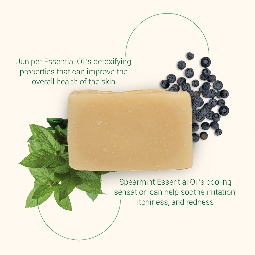 Spearmint & Juniper Bar Soap