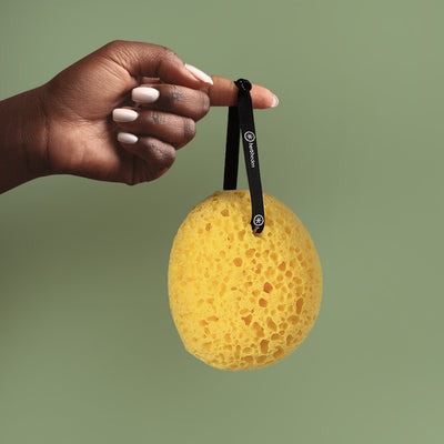 sea sponge | gently exfoliates skin | herbneden