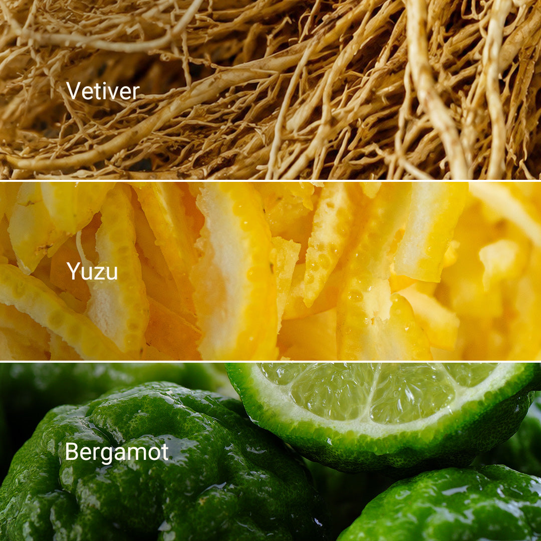 Yuzu & Vetiver Body Wash – Herb'N Eden