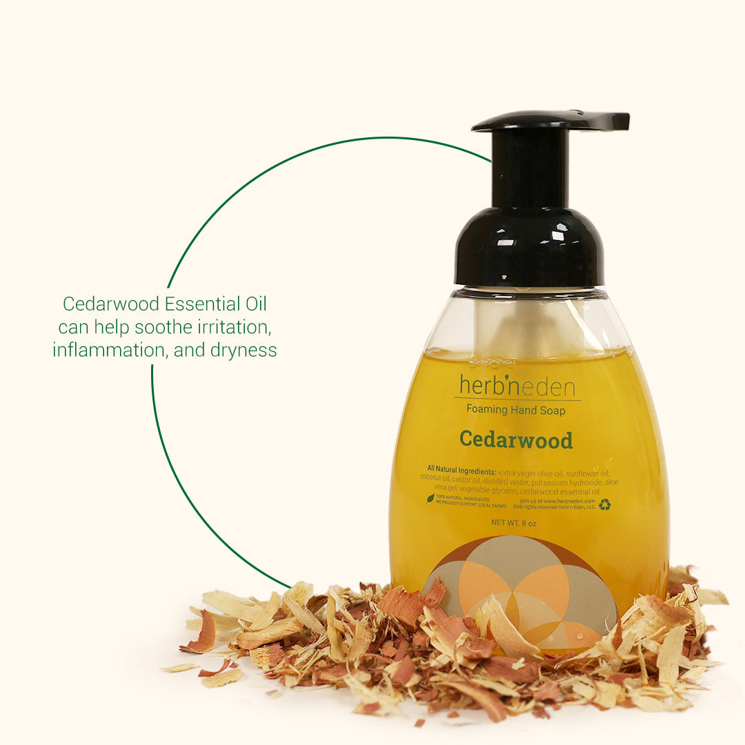 Cedarwood Foaming Hand Soap | Woodsy Hand Wash | Herb'N Eden