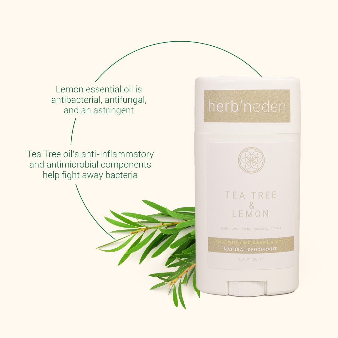 all natural tea tree & lemon deodorant | herbneden